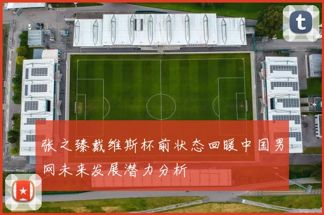 张之臻戴维斯杯前状态回暖中国男网未来发展潜力分析