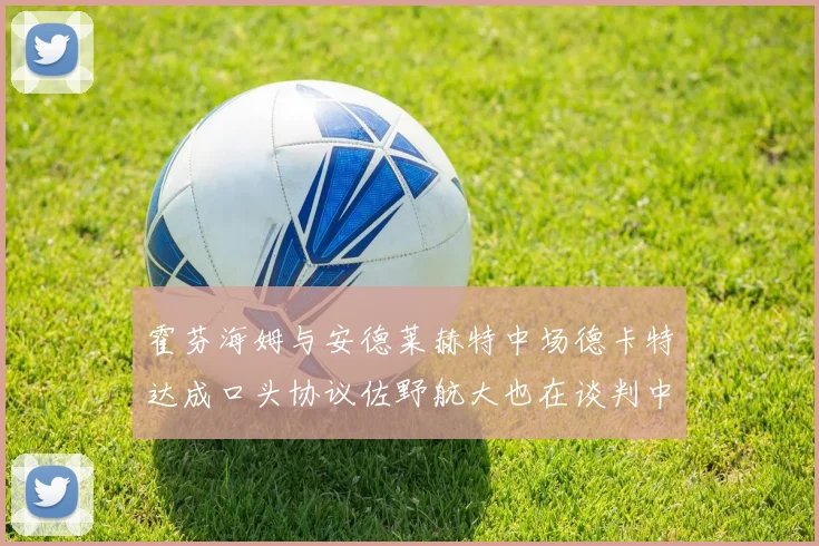 霍芬海姆与安德莱赫特中场德卡特达成口头协议佐野航大也在谈判中